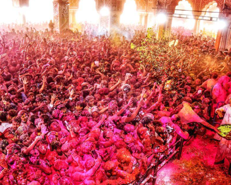 Holi Packages India