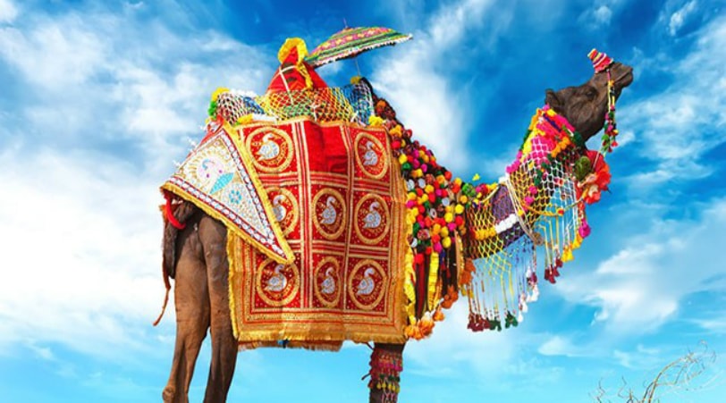 JAIPUR PUSHKAR SAME DAY TOUR