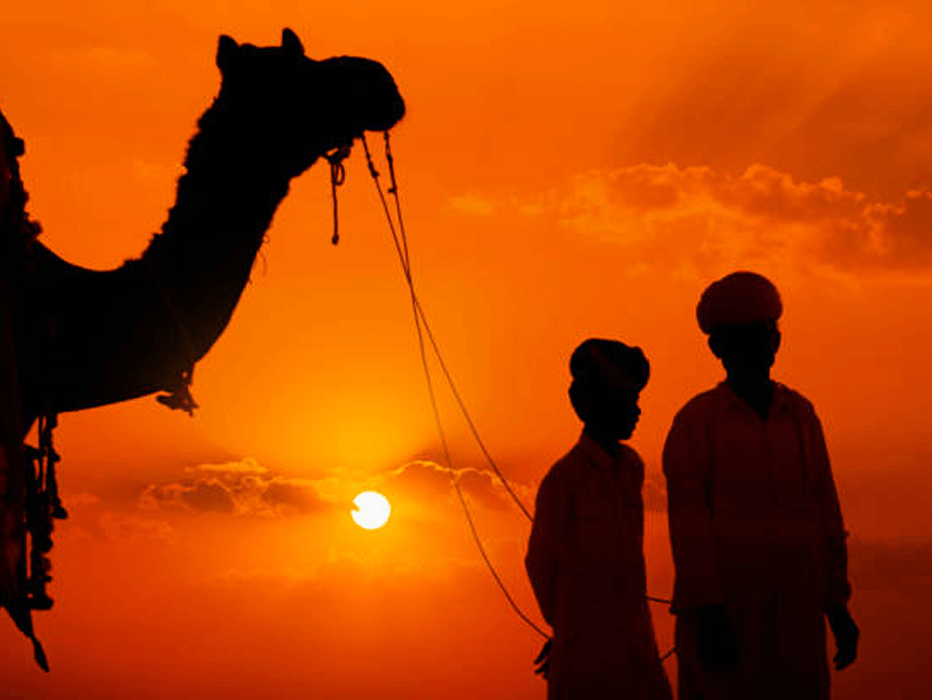 Exotic Rajasthan and Beach Tour